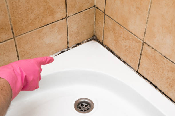 Best Mold Testing  in Valhalla, NY